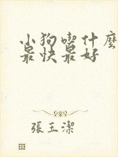 小狗吃什么下奶最快最好