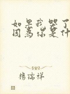 如果我哭了也是因为你是什么歌