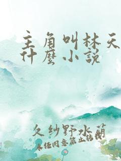 主角叫林天的叫什么小说