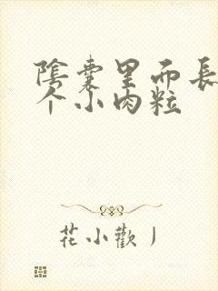 阴囊里面长了一个小肉粒