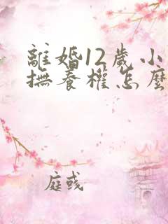 离婚12岁小孩抚养权怎么判定