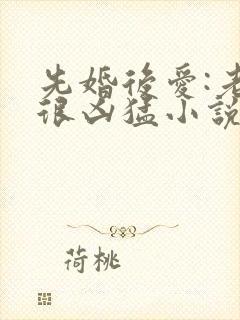 先婚后爱:老公很凶猛小说全文免费