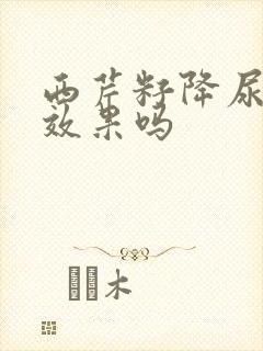 西芹籽降尿酸有效果吗