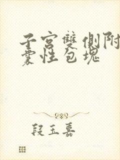 子宫双侧附件区囊性包块