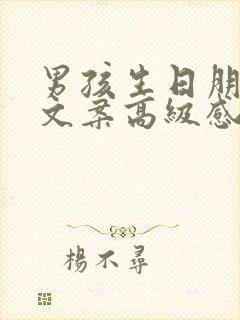 男孩生日朋友圈文案高级感