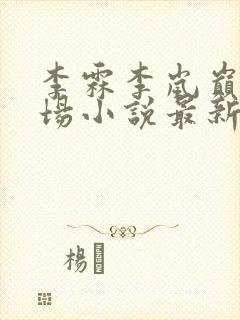 李霖李岚巅峰官场小说最新章节更新