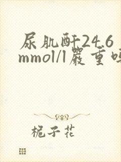 尿肌酐24.6mmol/l严重吗?