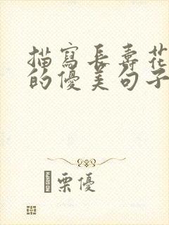 描写长寿花开花的优美句子