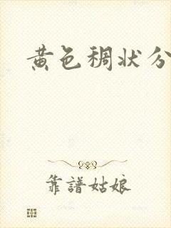 黄色稠状分泌物