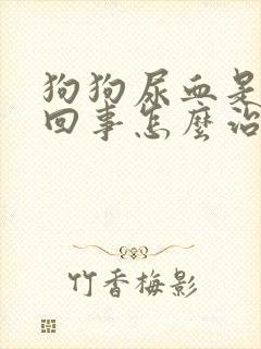 狗狗尿血是怎么回事怎么治疗