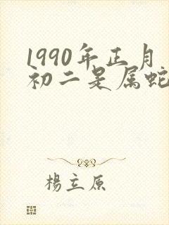 1990年正月初二是属蛇还是马
