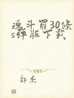 魂斗罗30条命s弹版下载