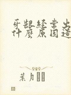 牙龈经常出血是什么原因造成的