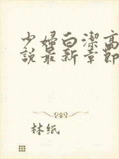 少妇白洁高义小说最新章节更新