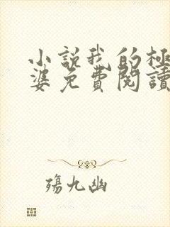 小说我的极品老婆免费阅读全文