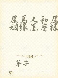 属马人和属鸡人姻缘怎么样