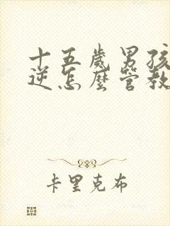 十五岁男孩子叛逆怎么管教更有效