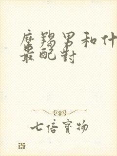 摩羯男和什么座最配对