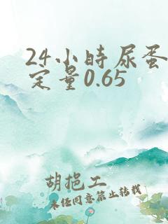 24小时尿蛋白定量0.65