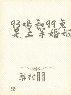 93鸡和99兔是上等婚姻吗