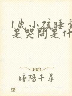 1岁小孩睡觉老是哭闹是什么原因