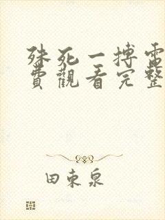 殊死一搏电影免费观看完整版高清