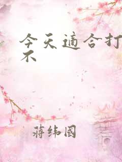 今天适合打麻将不