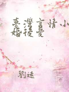 台湾言情小说先婚后爱