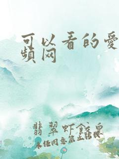 可以看的爱爱视频网