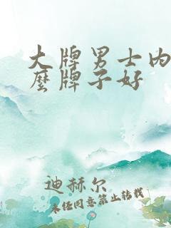 大牌男士内裤什么牌子好