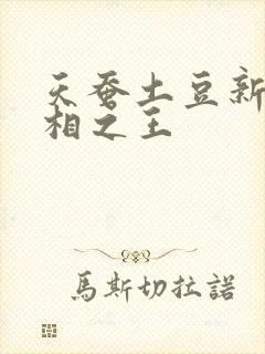 天蚕土豆新书万相之王