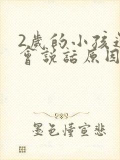 2岁的小孩还不会说话原因