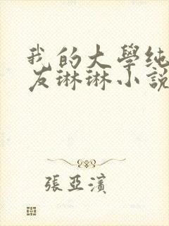 我的大学纯情女友琳琳小说