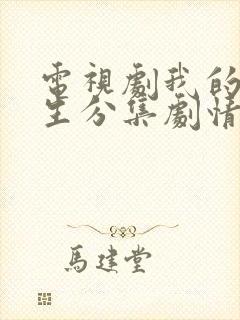 电视剧我的后半生分集剧情介绍