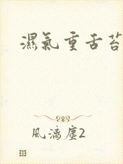 湿气重舌苔黄腻