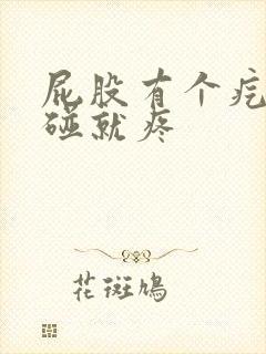 屁股有个疙瘩一碰就疼