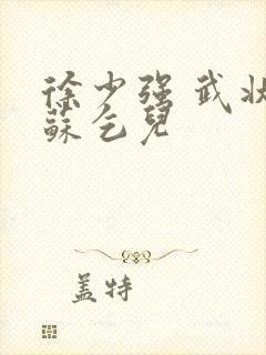 徐少强 武状元苏乞儿