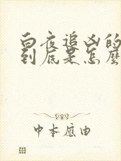 白夜追凶的结局到底是怎么回事