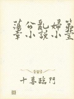 荡公乱妇第51章小说小莹