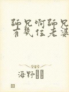 师兄啊师兄男主有几位老婆