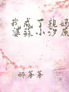 我成了亲妈的婆婆苏小汐原著小说