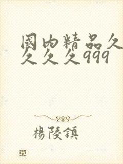 国内精品久久久久久久999