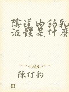 阴道内的乳白色液体是什么