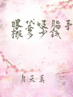 眼袋吸脂手术大概多少钱