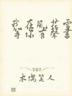 我在风花雪月里等你有声书