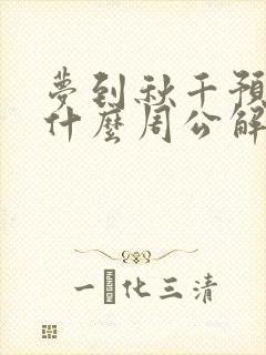 梦到秋千预示着什么周公解梦