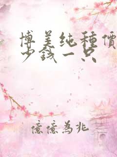 博美纯种价格多少钱一只