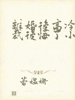 离婚后高冷女总裁后悔了小说笔趣