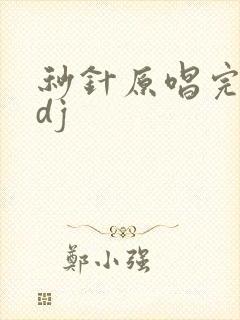 秒针原唱完整版dj