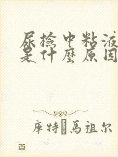 尿检中粘液丝高是什么原因